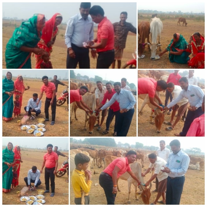 ग्राम पंचायत = मोहंदी सरपंच मंजू बघेल, सचिव आत्माराम यादव  द्वारा गौठान में की गई पूजा अर्चना