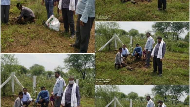 विकासखंड धमधा अंतर्गत ग्राम घौठा में वृक्षारोपण कर ,   दिया हरियाली का संदेश परंपरागत औजारों की पूजा कर मनाया गया  हरेली त्यौहार