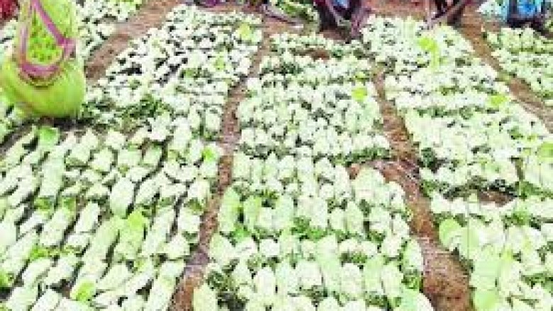 तेंदूपत्ता व्यापारी से 3 करोड़ रुपए की धोखाधड़ी करने वाले आरोपी को पुलिस ने किया गिरफ्तार