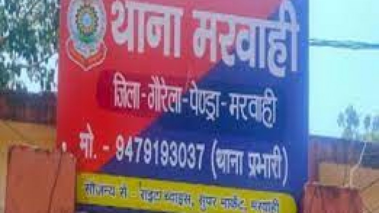 विधवा महिला को टीचर बनाने के नाम पर ठगा:शिक्षाकर्मी वर्ग एक की शिक्षिका बनाने का सपना दिखाया, फिर अलग-अलग बार में खाते में जमा कराए 5 लाख; केस दर्ज