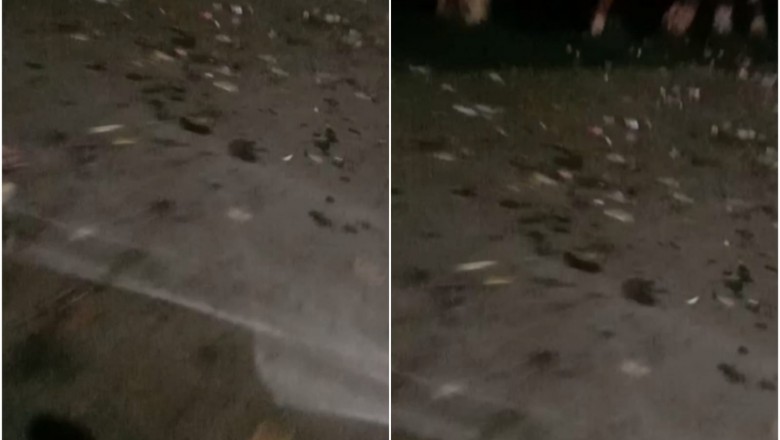 भिलाई:  बीएसपी के सेक्टर में फैली गंदगी, सड़को में पसरा कचरे का अम्बार