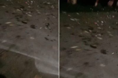 भिलाई:  बीएसपी के सेक्टर में फैली गंदगी, सड़को में पसरा कचरे का अम्बार