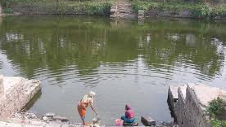 भिलाई - तालाबों में कचरा, कीड़े और बदबू, इसी में अर्घ्य देंगी महिलाएं; पार्षद बोले- शिकायत पर भी सफाई नहीं
