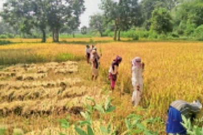 मौसम -: खाड़ी में बना सिस्टम, 12 से 14 तक बारिश के आसार