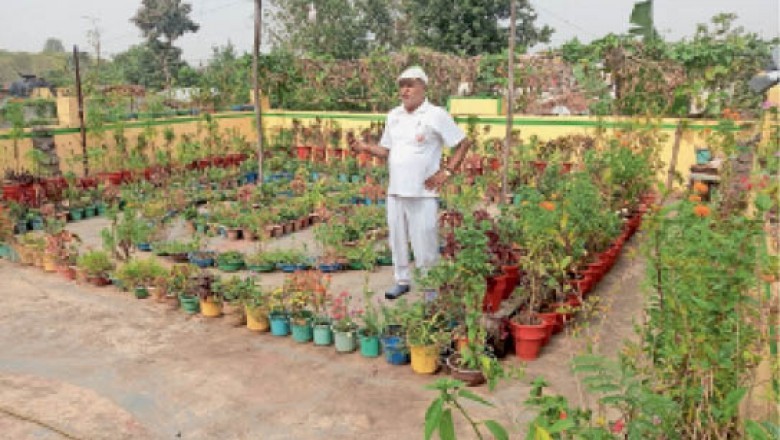 रिटायरमेंट के बाद घर की छत पर उगा रहे सब्जी, फूल-पौधे