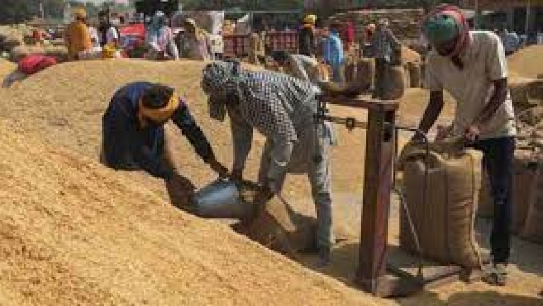 राजनांदगाँव : ठाकुरटोला में नए धान खरीदी केंद्र की शुरुआत