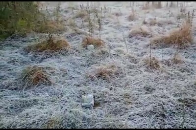 शीतलहर की चपेट में पूरा छत्तीसगढ़,