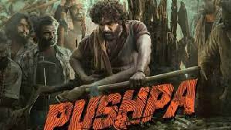‘पुष्पा: द राइज’ के जबरदस्त कलेक्शन,25वें दिन भी शानदार कलेक्शन