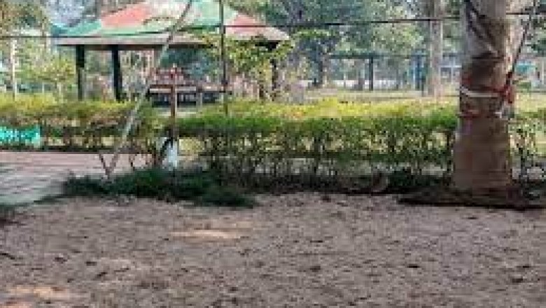 बलौदाबाजार के भाजपा विधायक का जंगल में राज