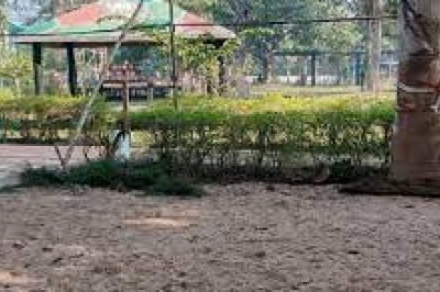 बलौदाबाजार के भाजपा विधायक का जंगल में राज