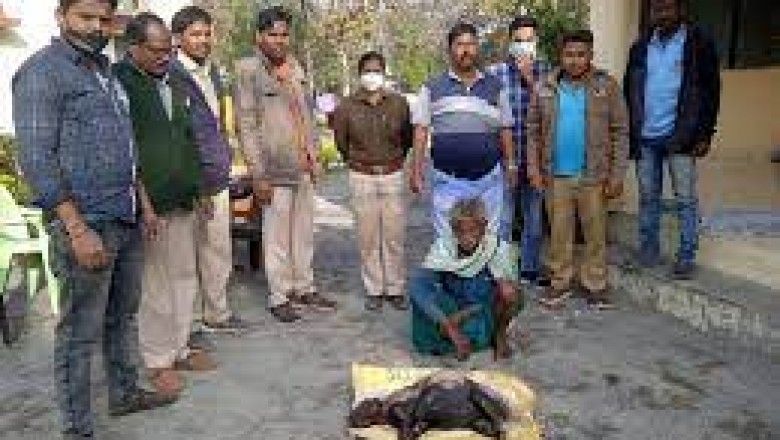 छत्तीसगढ़ में वन्य जीवों के शिकार के मामले कम होने का नाम नहीं ले रहे