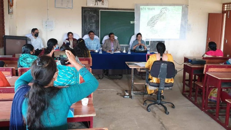 जिले में अवैध प्लाटिंग के लिए कार्रवाई जारी रखें - जिला पंचायत सीईओ  लोकेश चंद्राकर