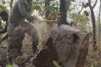 राजनांदगांव में जवानों ने नक्सलियों के बनाए स्मारक को ध्वस्त किया