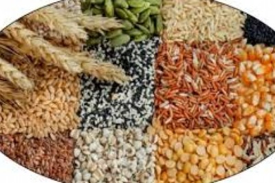 चीनी में 75 रुपए की तेजी, रिफाइंड तेल में भी उछाल