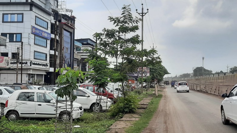 तपती धूप मे वृछ बन रहा सहारा : राहगीरों को भी राहत