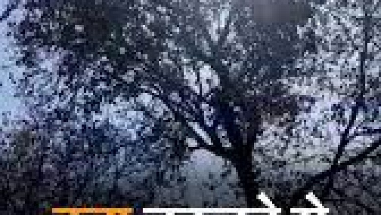 अभी और ज्यादा तमतमाएगा सूरज; भोपाल-इंदौर में न्यूनतम पारा भी मारेगा उबाल
