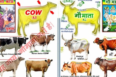 भारतीय नस्ल की देशी गोवंश ही है हमारी गौमाता : राज्यपाल सुश्री अनुसूईया उइके