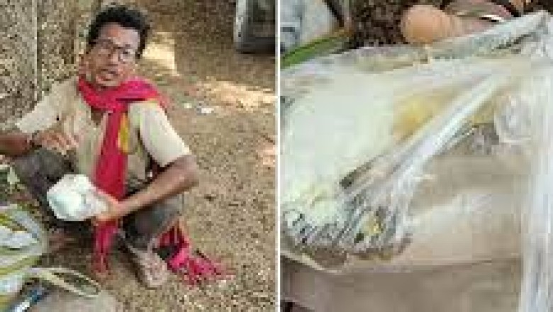 तमिलनाडु मजदूरी करने गई 4 महिलाएं लापता  : गांव से 8 लोगों को ले गया था ठेकेदार