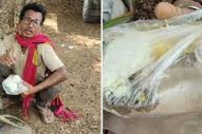 तमिलनाडु मजदूरी करने गई 4 महिलाएं लापता  : गांव से 8 लोगों को ले गया था ठेकेदार