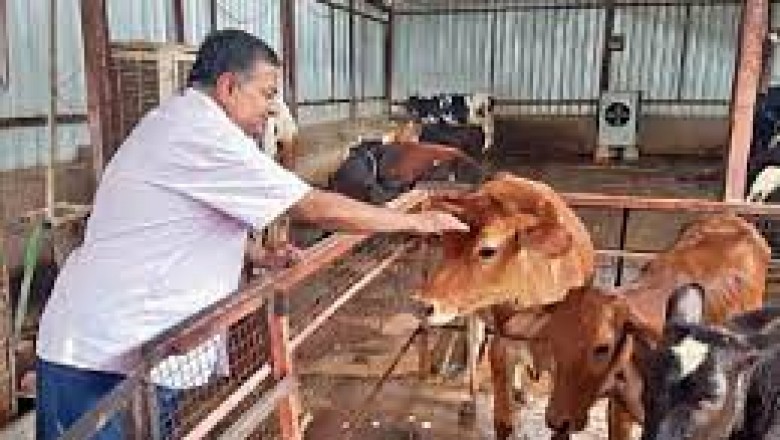 छत्तीसगढ़ की गोधन योजना ने कराई धन वर्षा : गोबर बेचकर लखपति बन गए प्रेम आर्य