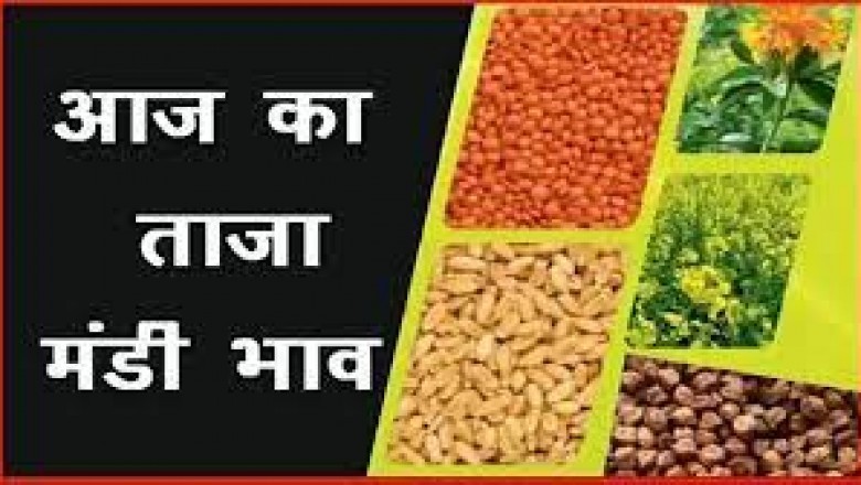काबुली चना, उड़द के रेट भी घटे; मंडी भाव कहां क्या रहा, जानिए यहां