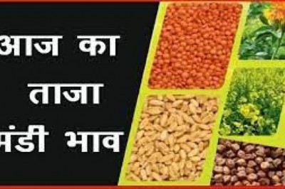 काबुली चना, उड़द के रेट भी घटे; मंडी भाव कहां क्या रहा, जानिए यहां