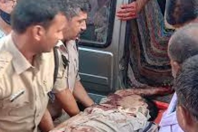 गुना में 3 पुलिसवालों की गोली मारकर हत्या : काले हिरण मारकर ले जा रहे शिकारियों से जंगल में मुठभेड़