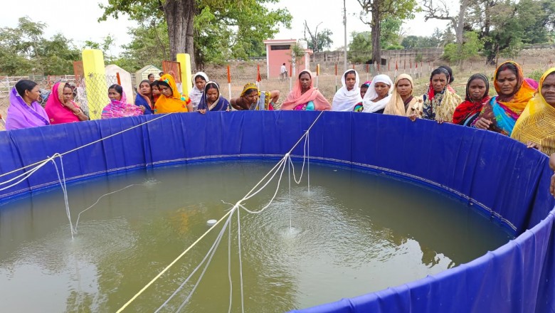 कलेक्टर   तारन प्रकाश सिन्हा की पहल पर ग्रामीण क्षेत्रों में समूह की महिलाओं के आमदनी में बढ़ोत्तरी