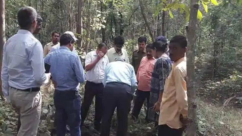 CG के 'सोने' से नहीं होगी छेड़छाड़:NGT ने नवापारा में सोने की खोज पर लगाई रोक;वन विभाग ने कहा था-इससे जंगल को नुकसान