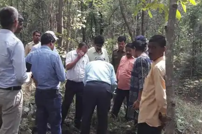 CG के 'सोने' से नहीं होगी छेड़छाड़:NGT ने नवापारा में सोने की खोज पर लगाई रोक;वन विभाग ने कहा था-इससे जंगल को नुकसान