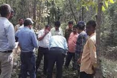 NGT ने नवापारा में सोने की खोज पर लगाई रोक;वन विभाग ने कहा था-इससे जंगल को नुकसान