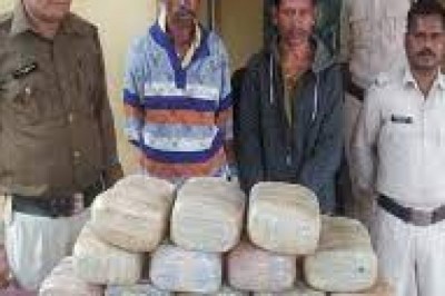 ले जा रहा था गांजा  ओडिशा से हरियाणा  मिला 50 किलो माल
