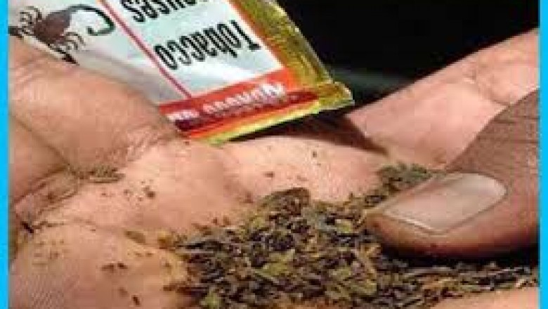 NO TOBACCO DAY : यह राज्य गुटखा-पान मसाला और तंबाकू खाने में सबसे आगे, हर साल लाखों लोग गवाते हैं जान