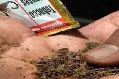 NO TOBACCO DAY : यह राज्य गुटखा-पान मसाला और तंबाकू खाने में सबसे आगे, हर साल लाखों लोग गवाते हैं जान