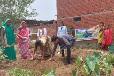घर में किचन गार्डन और वृक्ष लगाने से होगा हरित घर, हरित जिंदगी - ग्राम रीवागहन के पोषण वाटिका में किया गया पौधरोपण