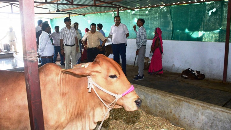 अमलीडीह गौठान महिला समूह के लिए बना आमदनी अर्जित करने का सशक्त माध्यम : - महिला समूह ने दिखाया दम, अब आर्थिक तंगी का नहीं होगा कोई गम