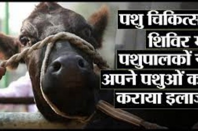 भरगवां पशु चिकित्सालय में कब्जा, पालतू पशुओं का डेरा