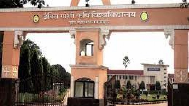 पॉलिटेक्निक कॉलेज में छात्राें के बीच हुई लड़ाई तीन स्टूडेंट घायल
