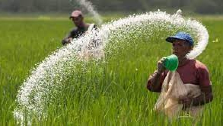 बालोद : सोसाइटीयों  में खाद की कमी से किसान परेशान