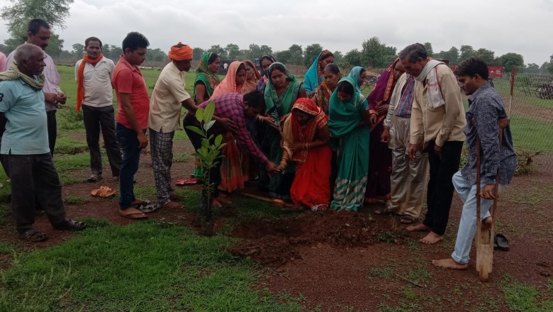 बालोद : ग्राम राहुद में बड़े पैमाने किया गया वृक्षारोपण