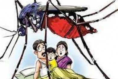 सामूहिक जागरूकता ही बचाएगी डेंगू के डंक से  शहर के समस्त 48 वार्डो में लार्वा नष्ट करने को चलाया जा रहा अभियान  डेंगू रेस्पॉन्स टीम लोगों को कर रही जागरूक