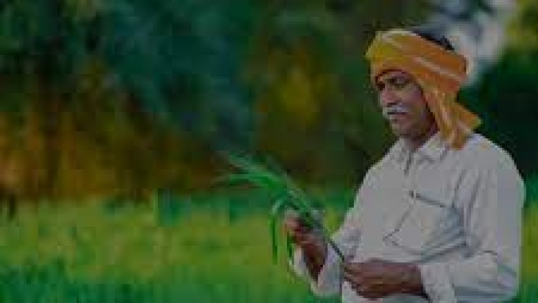 फसल बीमा पोर्टल भुईयां से लिंक