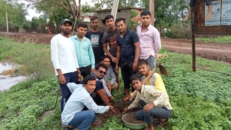 छुईखदान: ग्राम पंचायत भोरमपुर के आश्रित ग्राम महाराटोला में युवा मितान क्लब द्वारा किया गया वृक्षारोपण