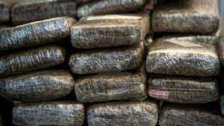 देवर भाभी  ने मिलकर चरस का बनाया गैंग :पति की मौत के बाद खुद संभाला कारोबार, नेपाल से भोपाल के रास्ते मंबई में होती थी सप्लाई, 5 करोड़ से अधिक का चरस जब्त