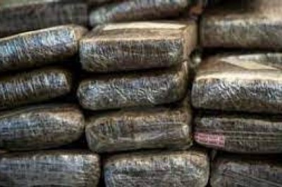 देवर भाभी  ने मिलकर चरस का बनाया गैंग :पति की मौत के बाद खुद संभाला कारोबार, नेपाल से भोपाल के रास्ते मंबई में होती थी सप्लाई, 5 करोड़ से अधिक का चरस जब्त