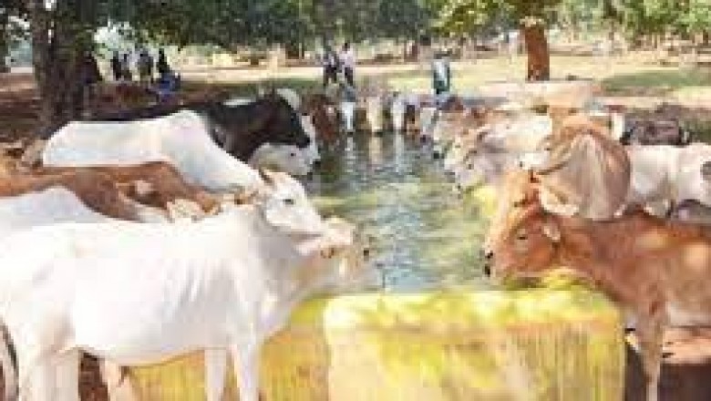 जिले के गौठानों को विकसित करने के लिए किए जाएंगे हरसंभव कार्य - कलेक्टर