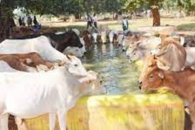 जिले के गौठानों को विकसित करने के लिए किए जाएंगे हरसंभव कार्य - कलेक्टर