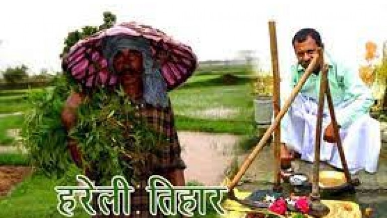हरेली आपने नाम तो सुना होगा ,हरेली क्या है, कहाँ और क्यों मनाया जाता है ? आईये जानते है