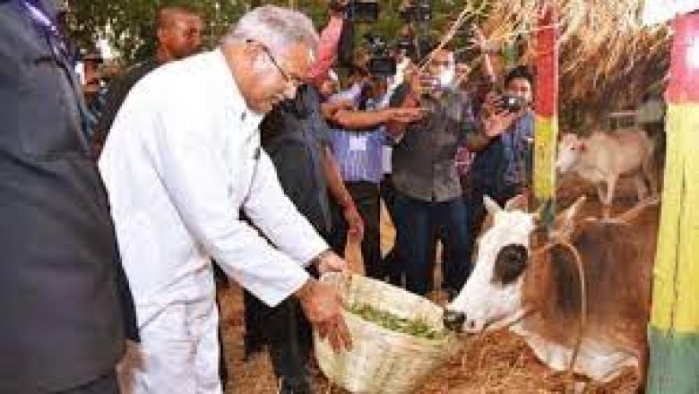 दुर्ग में गौठानों से होगी छत्तीसगढ़ में खरीदी की शुरुआत