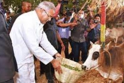 दुर्ग में गौठानों से होगी छत्तीसगढ़ में खरीदी की शुरुआत